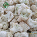 chinese frozen mixed vegetables price frozen diced pepper10*10mm